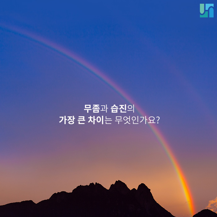 무좀과 습진의 가장 큰 차이는 무엇인가요? 관련 이미지 1