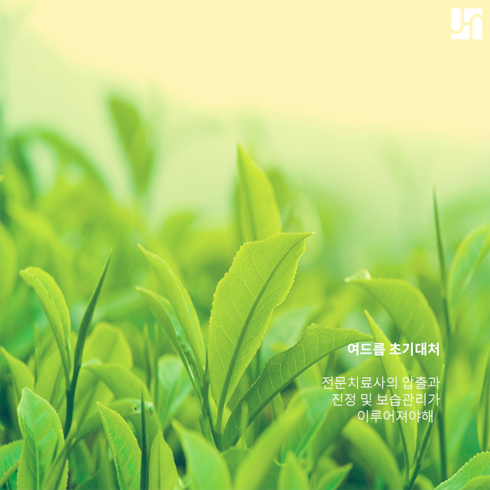 여드름이 생기는 이유는 무엇인가요? 관련 이미지 3