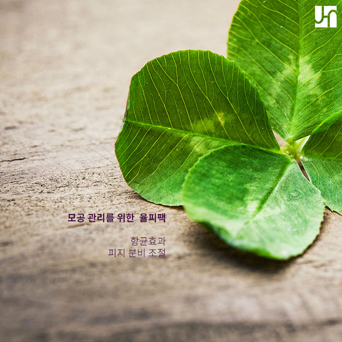 넓어진 모공관리를 위한 모공수축 천연팩 & 모공치료 :: 서초동전혜주피부과 관련 이미지 5