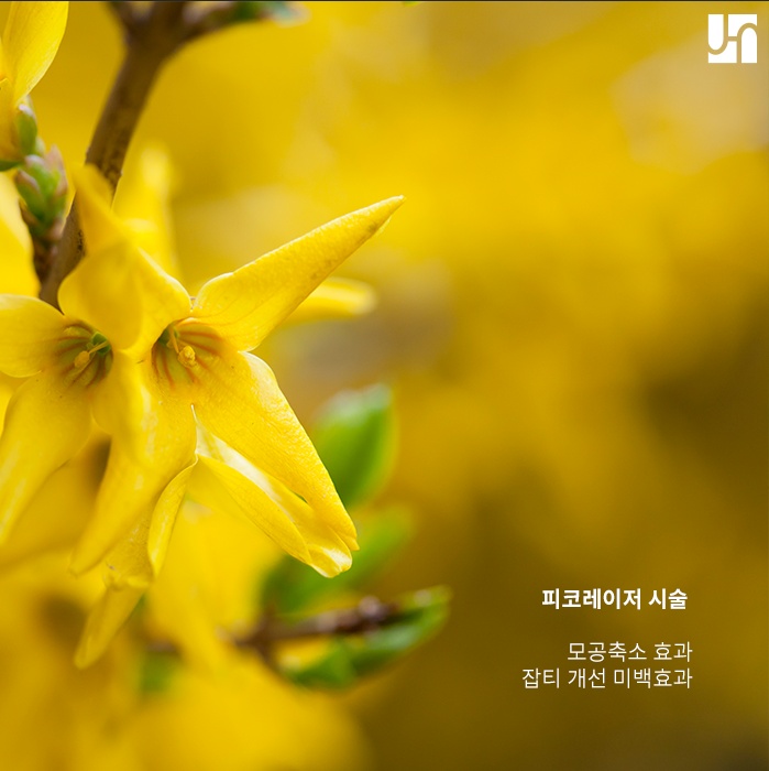 모공 관리는 꾸준히 해야 효과를 볼 수 있어요! 관련 이미지 3