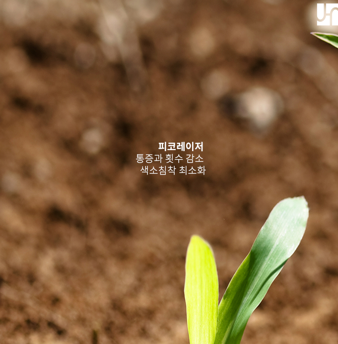 서초역 피부과, 효과적인 기미 레이저 치료 관련 이미지 3