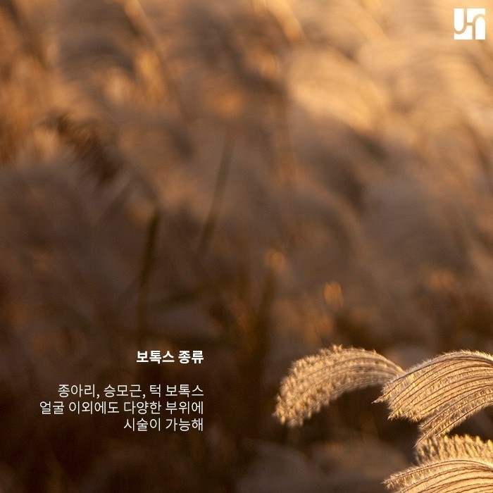 승모근 보톡스, 권장 시술 주기 꼭 지켜주세요! 관련 이미지 2