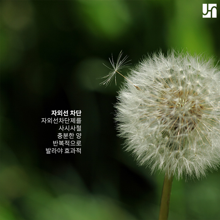 예방이 최선인 기미, 가장 효과적인 방법은? 관련 이미지 2