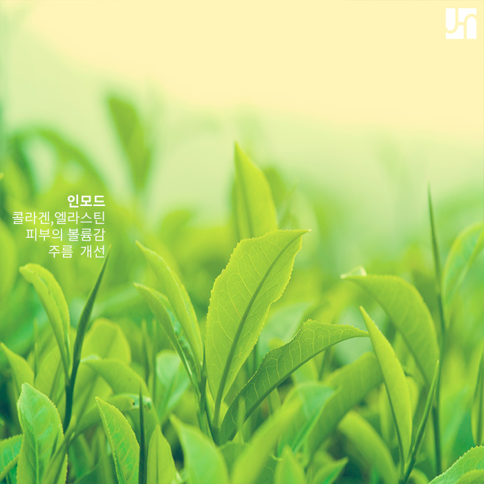 탱탱하고 갸름한 얼굴 갖고싶다면 인모드! 관련 이미지 2