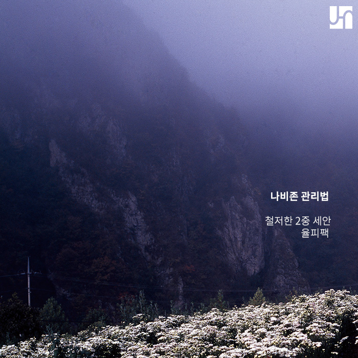 방배역 모공관리 피부과 :: 꾸준함이 관건인 모공관리법 관련 이미지 3