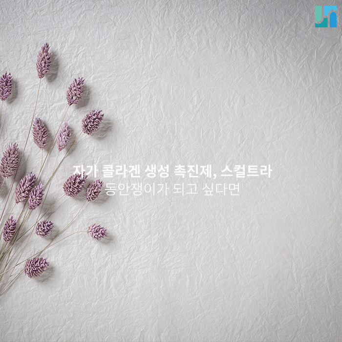 자가 콜라겐 생성 촉진제, 스컬트라 시술받고 동안쟁이 되기 관련 이미지 1