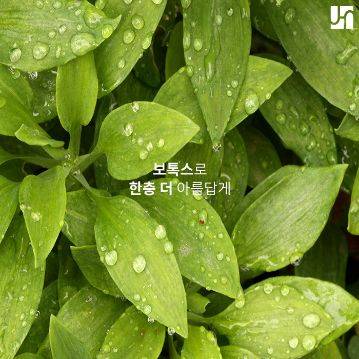 매력 지수 높여주는 보톡스 시술 안전하게 받기 위해 알아야 할 것들! 관련 이미지 1