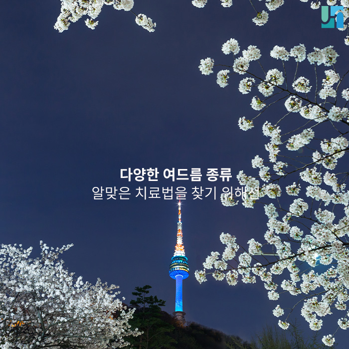 여드름 종류에 따른 치료법을 알아보아요 관련 이미지 1