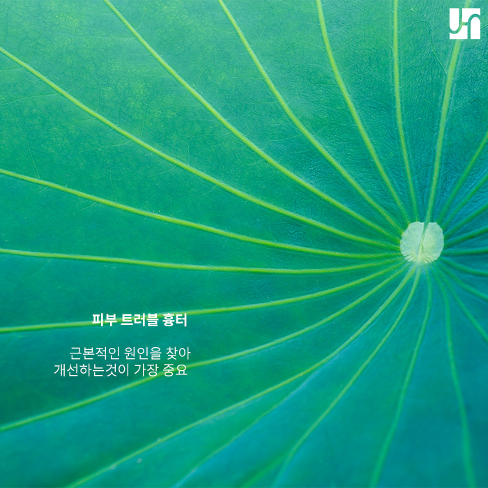 피부 트러블 흉터로 스트레스 받는다면 관련 이미지 3