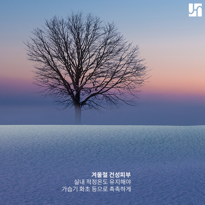 겨울에도 촉촉하고 맑은 피부 유지하고 싶다면 관련 이미지 3