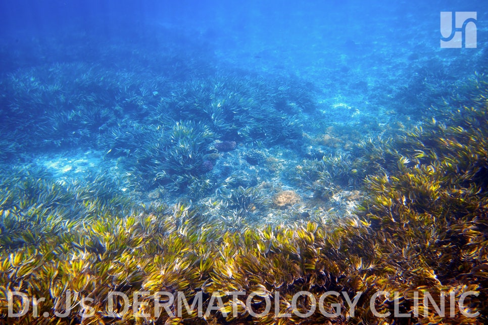 환절기 칸디다증 증상 조심, 올바른 치료법은? 관련 이미지 4