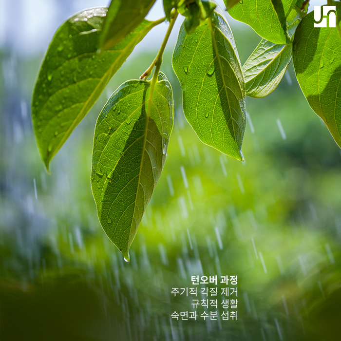 피부를 새롭게 바꿔주는 턴오버를 위해 할 수 있는 일! 관련 이미지 4