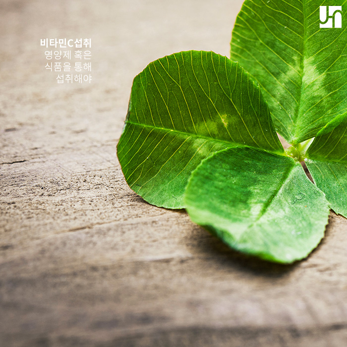 예방이 최선인 기미, 가장 효과적인 방법은? 관련 이미지 3