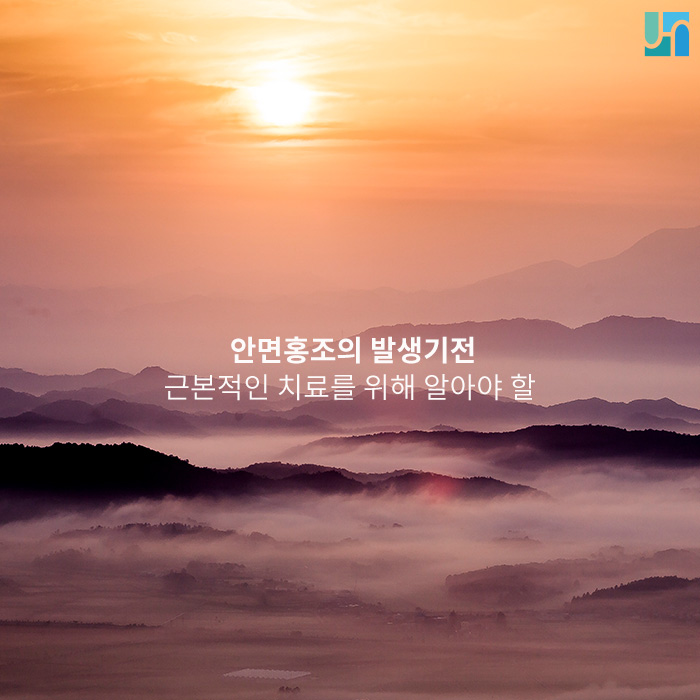 안면홍조의 발생기전 ; 근본적인 치료를 위해 알아야 할 관련 이미지 1