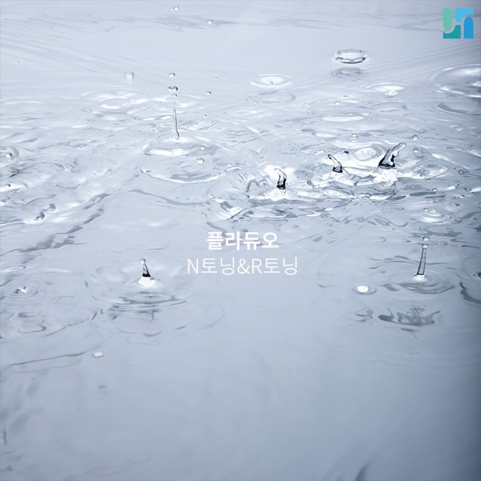 플라듀오 N 토닝 R 토닝 차이점에 대해서 관련 이미지 1