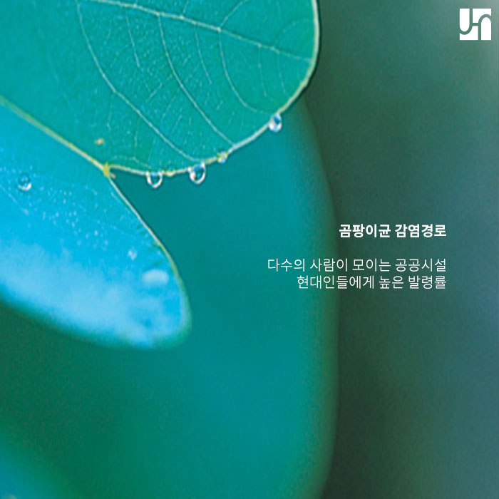 손발톱 무좀 원인을 알고 핀포인트레이저로 치료하세요 :: 방배역 전혜주피부과 관련 이미지 2