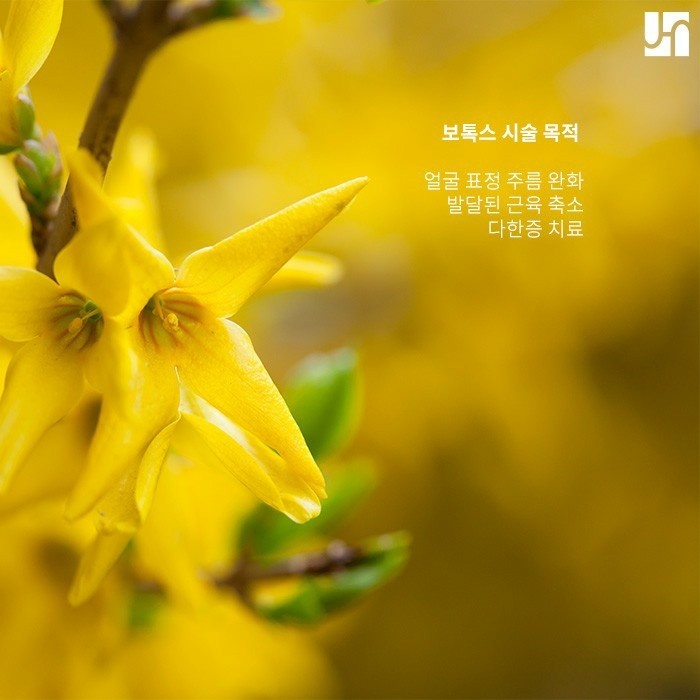 보톡스, 미용 외에 다른 목적으로 시술하는 경우는? 관련 이미지 2