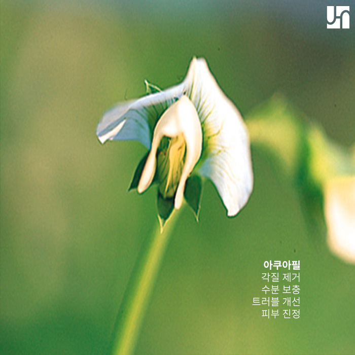 피지 분비가 많은 코, 어떻게 관리해야 할까? 관련 이미지 4