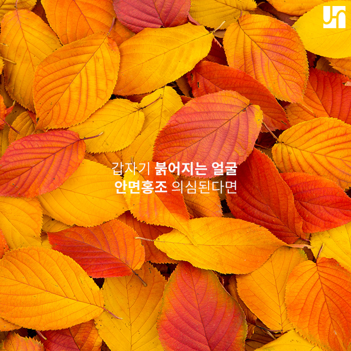 찬바람이 불면 나타날 수 있는 안면 홍조 치료는 원인에 맞게 이루어져야! 관련 이미지 1