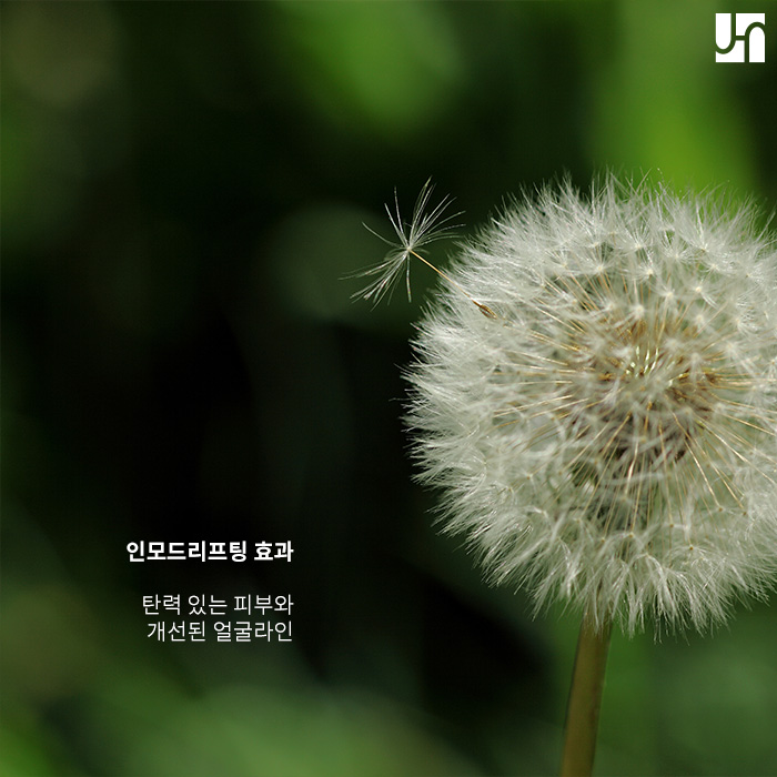 인모드리프팅 부작용이 걱정되신다면 관련 이미지 4