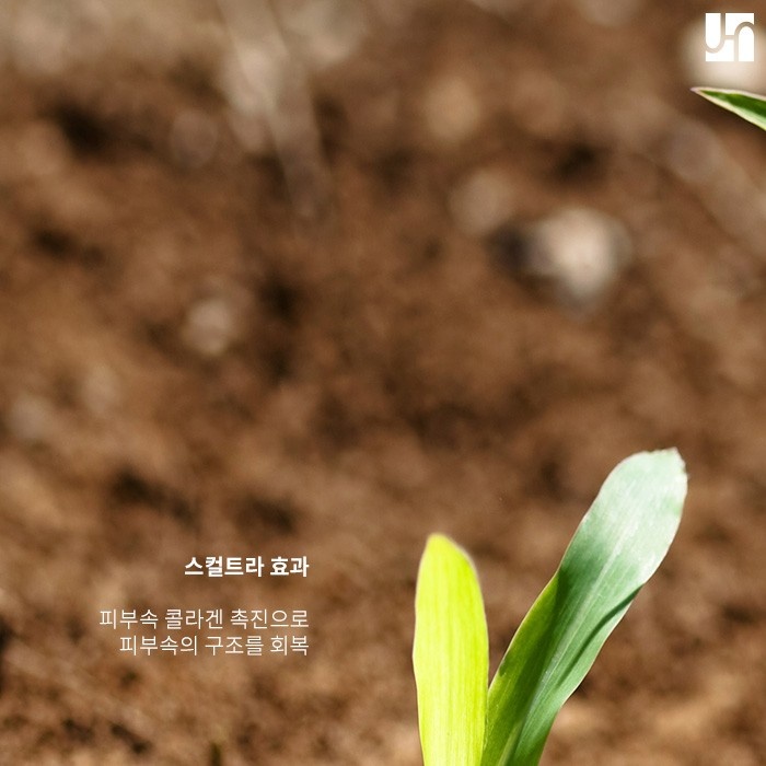 안전하고 자연스럽게 피부 볼륨감 채우는 스컬트라! 관련 이미지 3