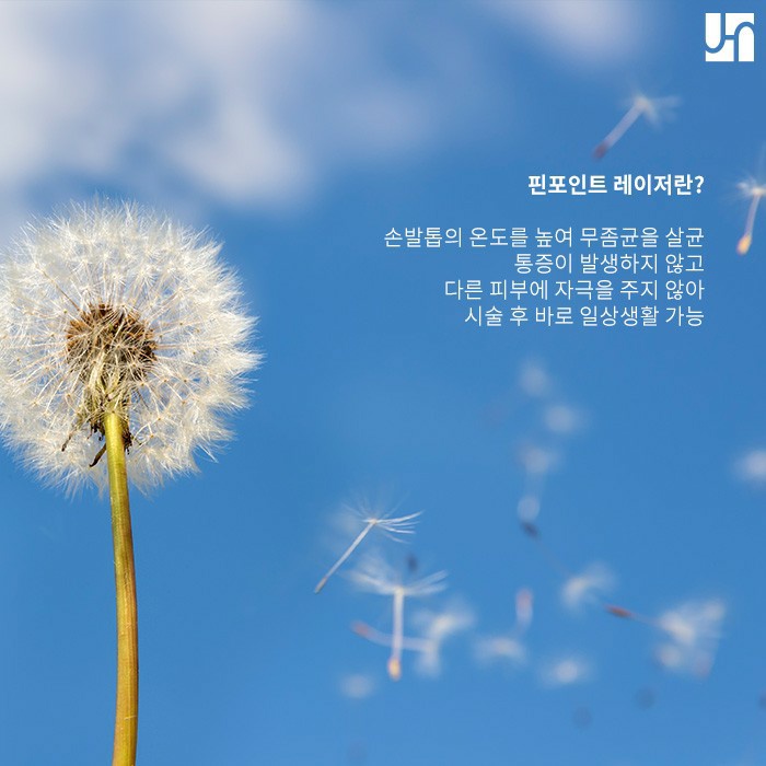 손발톱 무좀, 악화되기 전에 레이저로 꼼꼼하게 치료해야 관련 이미지 3