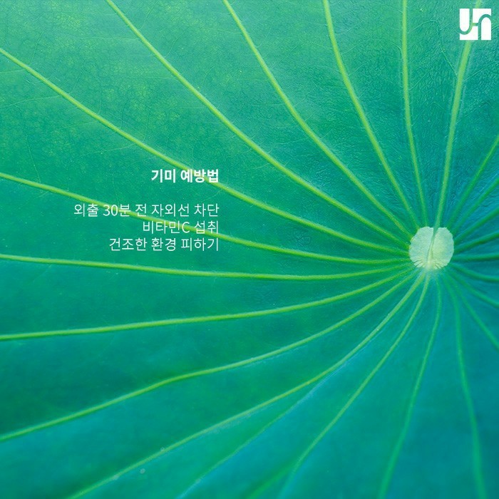 기미 크림 효과 있을지 궁금하다면 관련 이미지 4