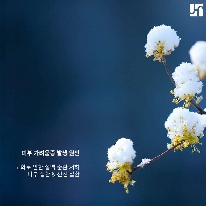 겨울철 심해지는 피부 가려움증 발생 원인과 치료법 관련 이미지 2