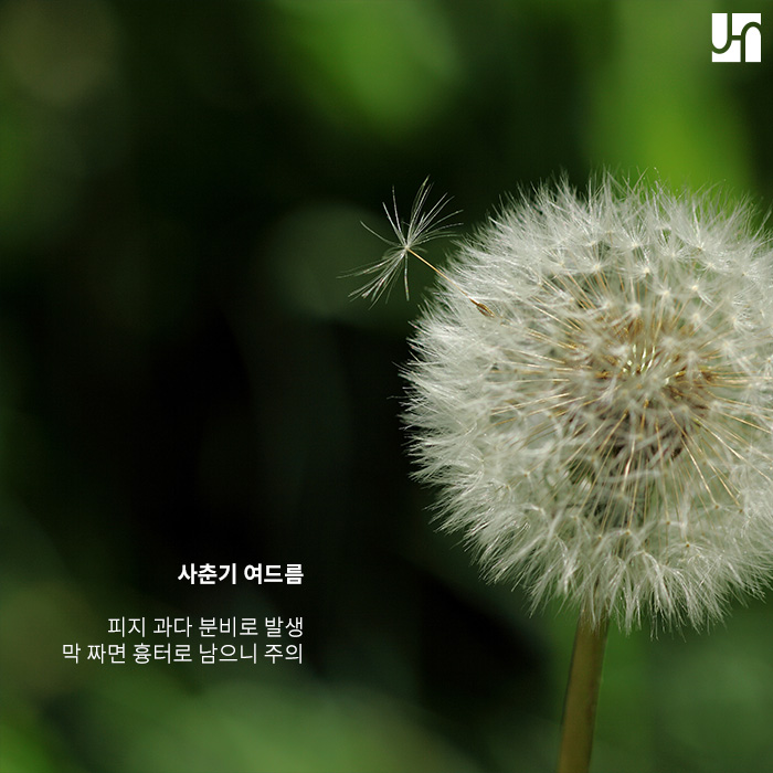 [방배동 피부과] 여드름 고민 해결하고 싶다면 관련 이미지 2