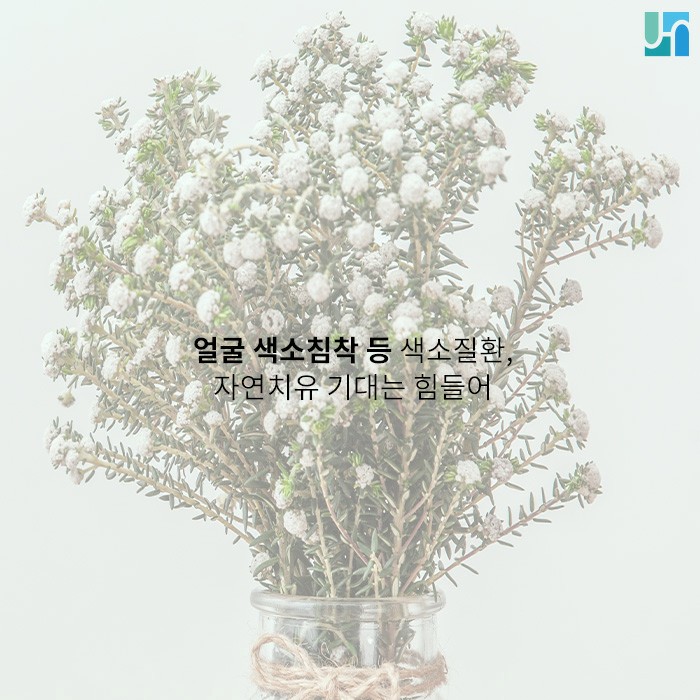 얼굴 색소침착 개선 및 예방하고 싶다면 알아야 할 것 관련 이미지 1