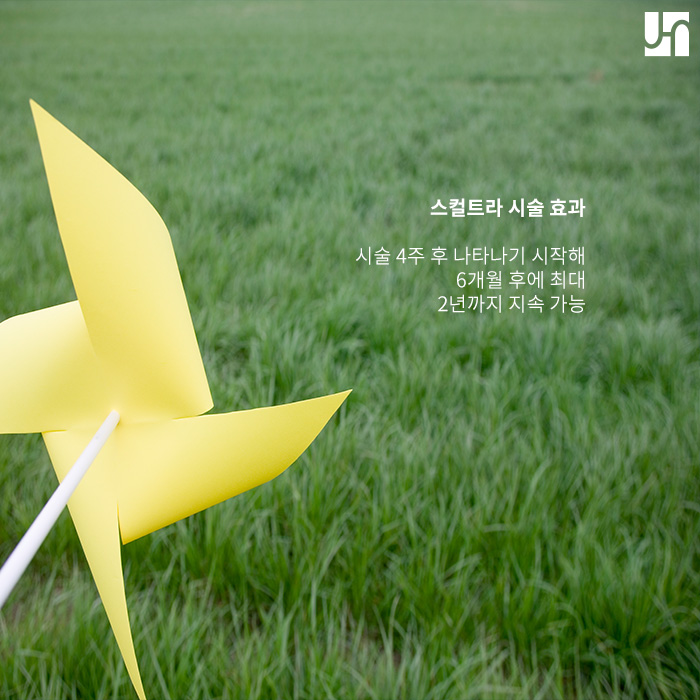 안전하고 효과적으로 볼륨감 채우는 스컬트라에 대해서 관련 이미지 4