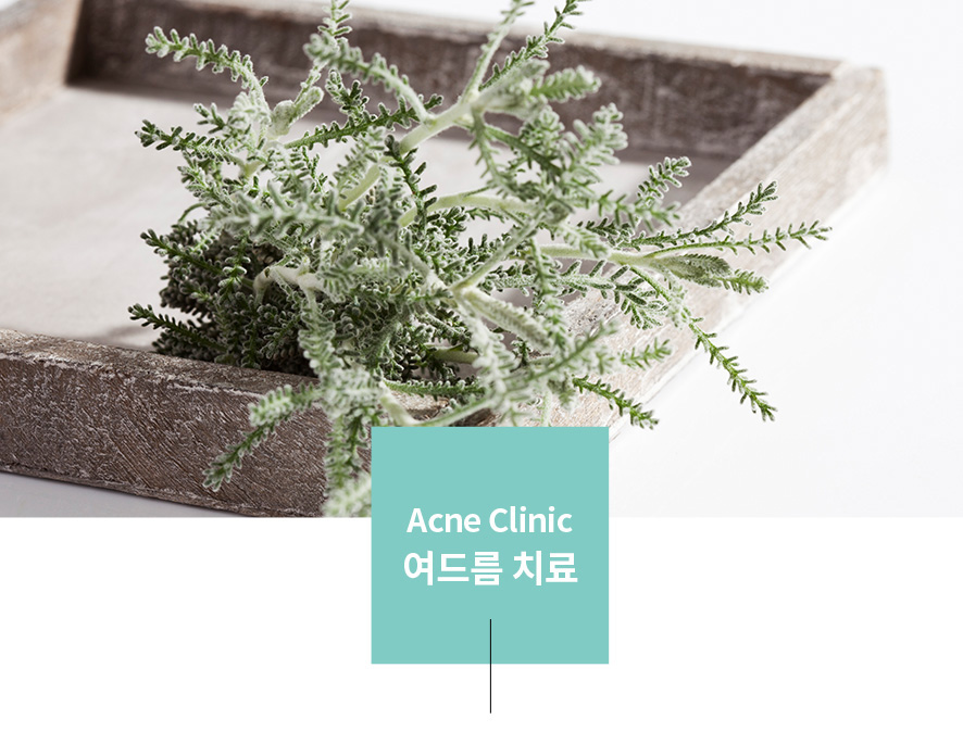 서초역 피부과, 여드름이 생기는 원인 무엇인가요? 관련 이미지 1
