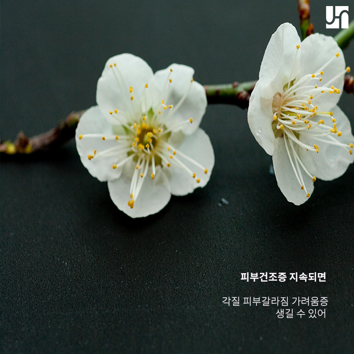 건조한 겨울에 생기기 쉬운 건선과 피부 건조증 예방하기 위해선 관련 이미지 3