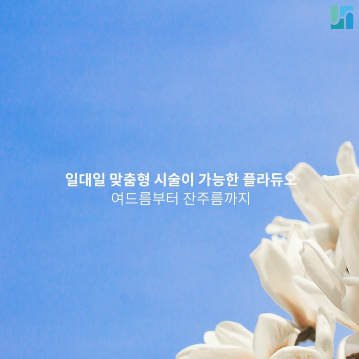 일대일 맞춤형 시술이 가능한 플라듀오가 궁금하다면 관련 이미지 1