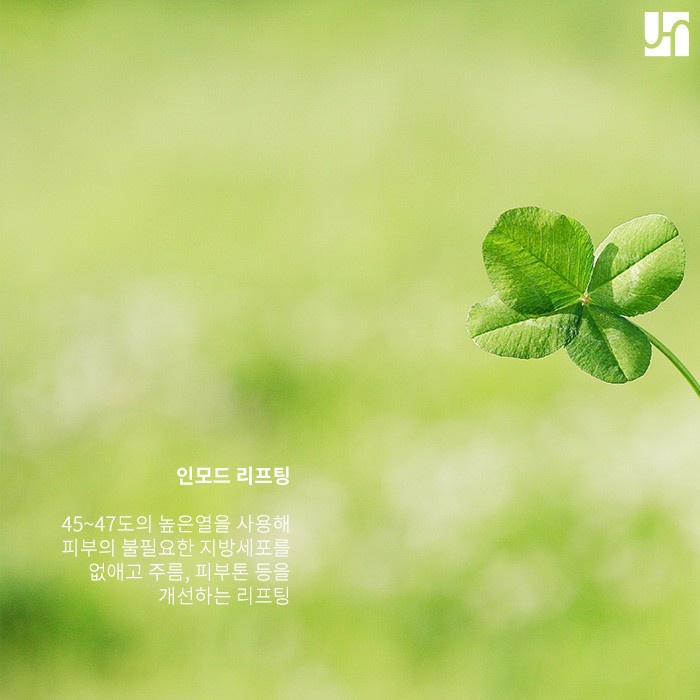 인모드 리프팅 효과의 모든 것 관련 이미지 2