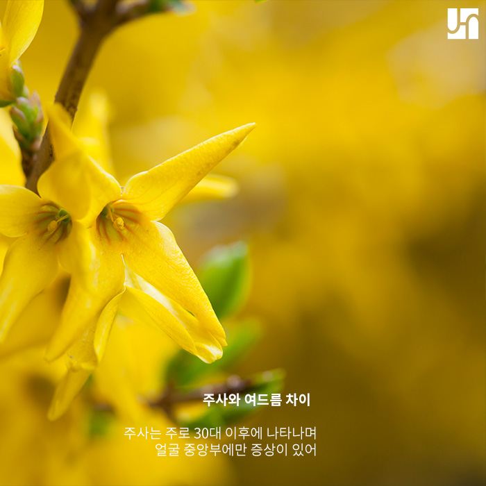 여드름과 유사한 주사 발생 원인과 해결 방법에 대해서 관련 이미지 3