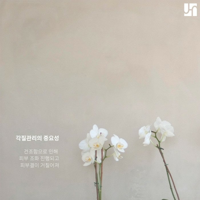 얼굴 각질 제거의 중요성에 대해서 관련 이미지 4