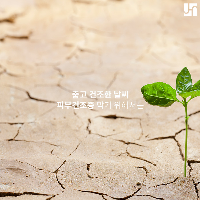 춥고 건조한 날씨, 피부건조증 막기 위해서는 관련 이미지 1