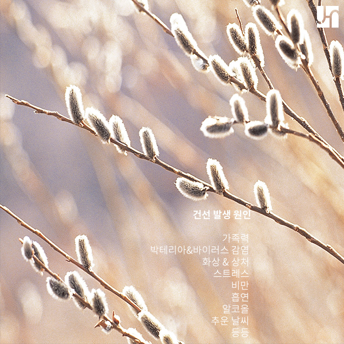 과도한 각질 증식으로 발생하는 건선, 예방하고 치료하는 방법은? 관련 이미지 2