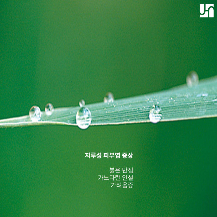 붉고 간지러운 여드름? 지루성 피부염일 수 있어요! 관련 이미지 4