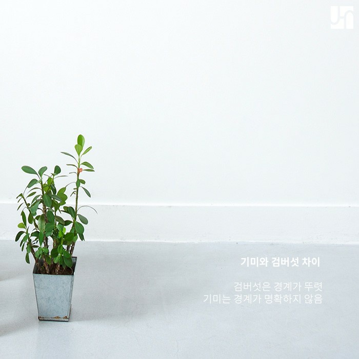 기미와 다른 검버섯, 예방과 치료를 위해 알아야 하는 것 관련 이미지 2