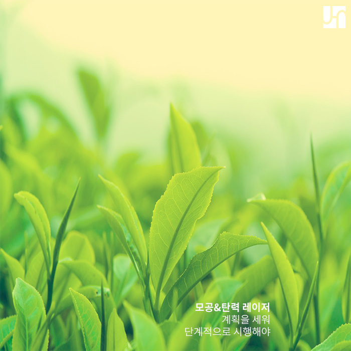 모공 줄이는 법 찾아볼 만큼 찾아봤다면 관련 이미지 4