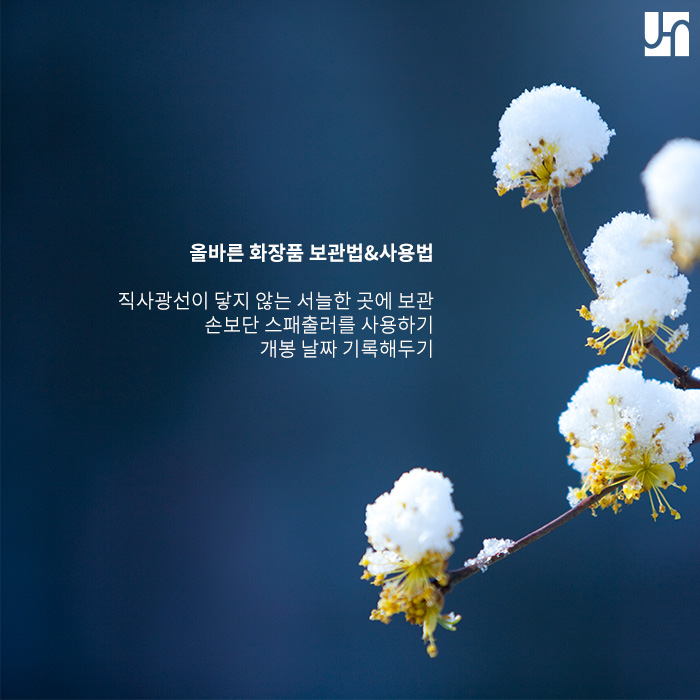 화장품 유통기한과 사용 기한, 피부 건강을 위해 꼭 확인하기 관련 이미지 4