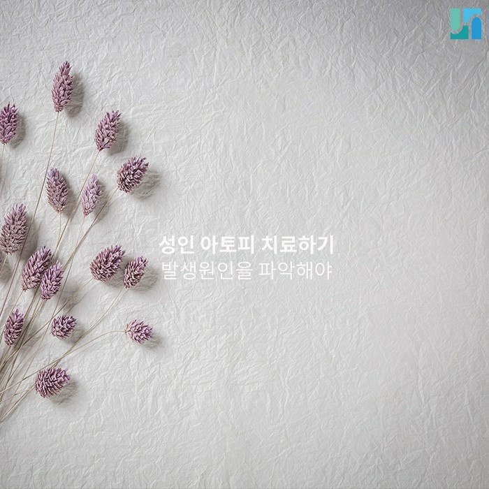 [방배역 피부과] 성인 아토피로 고민하고 있다면 관련 이미지 1