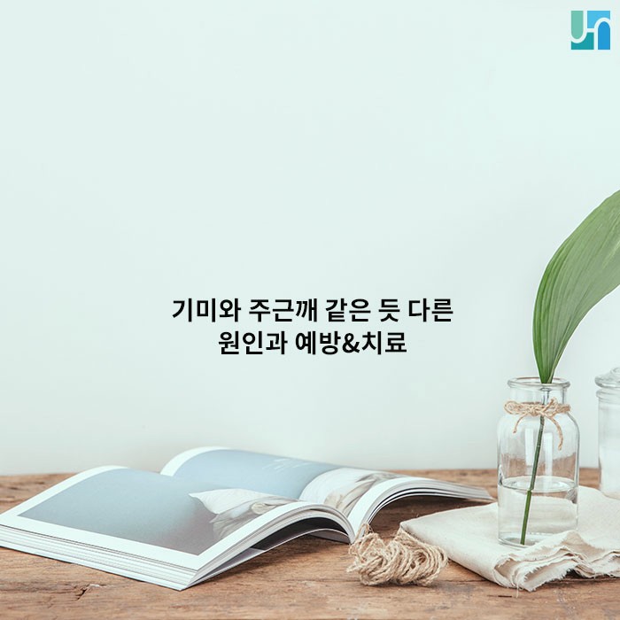 기미 &middot; 주근깨 같은 듯 다른 원인과 원인&치료 :: 방배동 피부과 관련 이미지 1