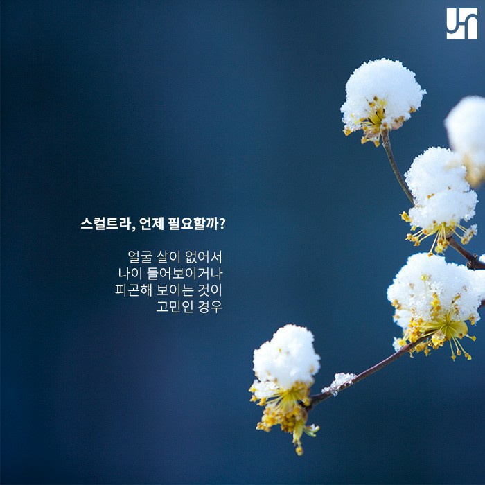 피부 속 콜라겐이 필요할 때! 스컬트라가 답 관련 이미지 2