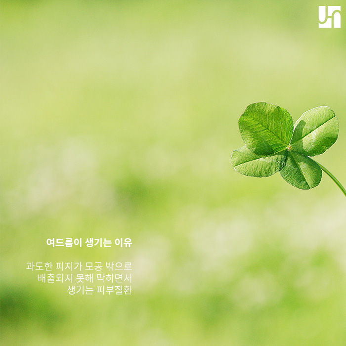 여드름이 생기는 이유는 무엇인가요? 관련 이미지 2