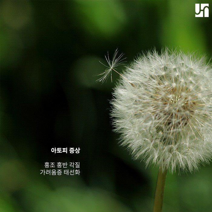 아토피 치료법 중증도에 따라 달라질 수 있어요! 관련 이미지 2