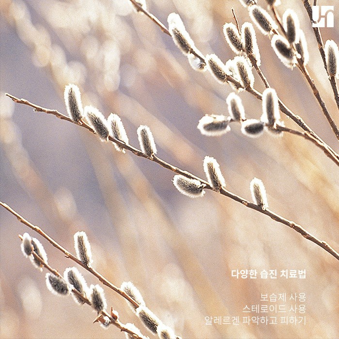 생각보다 다양한 종류의 습진, 관리는 어떻게? 관련 이미지 3