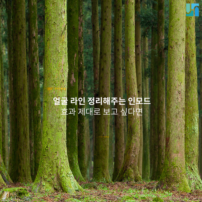 얼굴 라인 정리해주는 인모드, 효과 제대로 보고 싶다면 관련 이미지 1